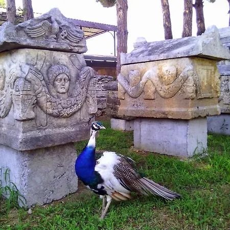 Belen Ξενοδοχείο 3*