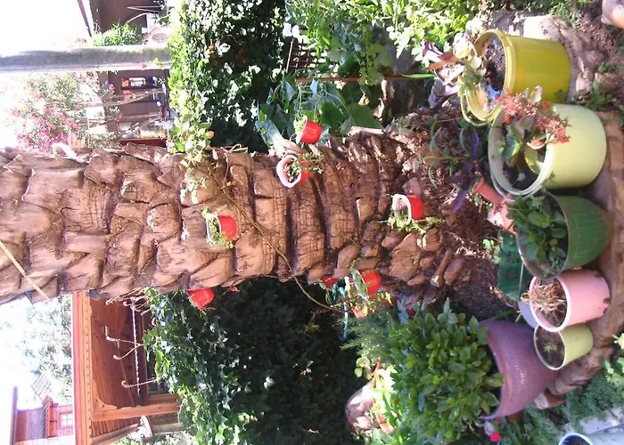 Belen Szálloda Side