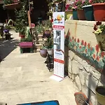 Belen