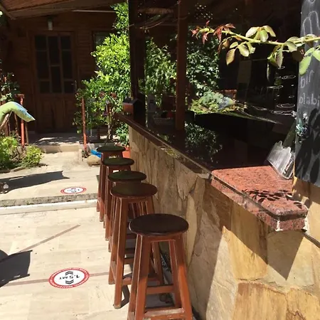 酒店 贝伦酒店 3*