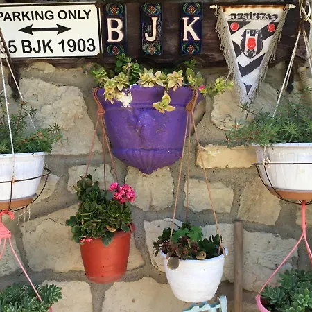 贝伦酒店 3* 锡德